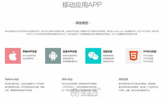 南昌app开发,软件定制开发,oa系统已完成 南昌网站制作