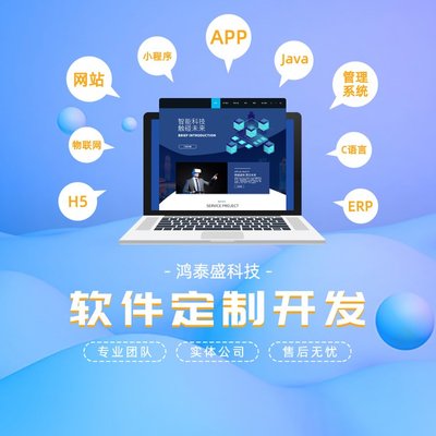 企业软件定制 商城APP 管理系统开发 一站式服务 鸿泰盛科技